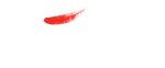 VASAME Logo
